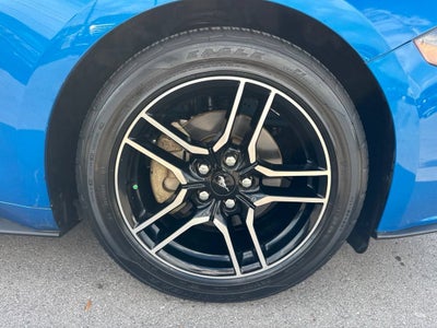 2019 Ford Mustang EcoBoost
