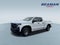 2019 Chevrolet Silverado 1500 Work Truck
