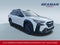 2024 Subaru Outback Onyx Edition XT
